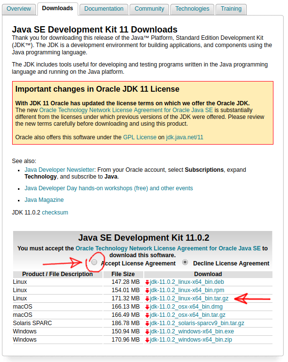 Link para a versão Java 11