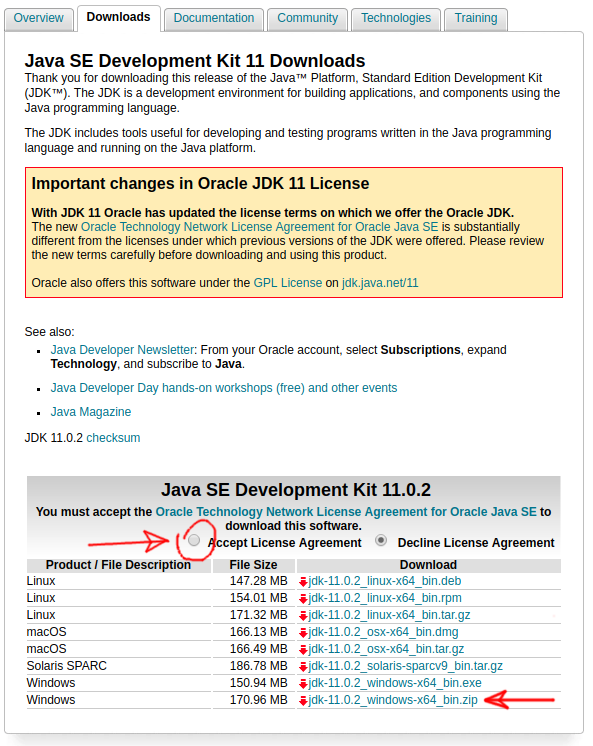 Link para a versão Java 11